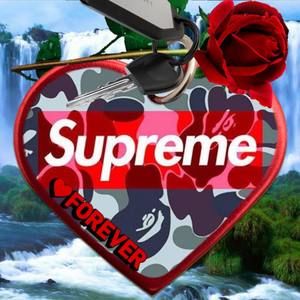 Meet your Posher, Pedro